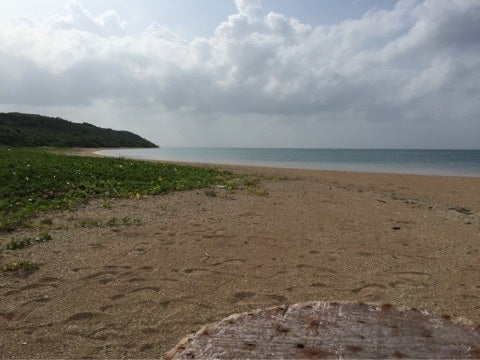 {F3D6AD56-F1B1-4C8E-8856-7F1AC99545D0:01}