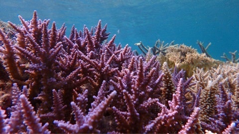 {0FAA4897-26A4-4EC7-8509-DA571AC17B28:01}