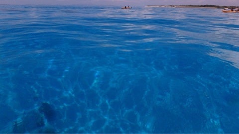 {259AC613-076A-49EE-8B7E-A5D81BFF884C:01}