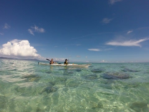 {0ADE8A80-BA92-45AD-BEB8-88058DCF7A57:01}