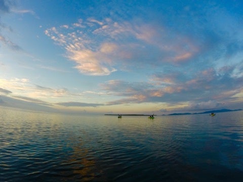 {1B1E018B-1363-4C87-B15D-E35955B524AF:01}