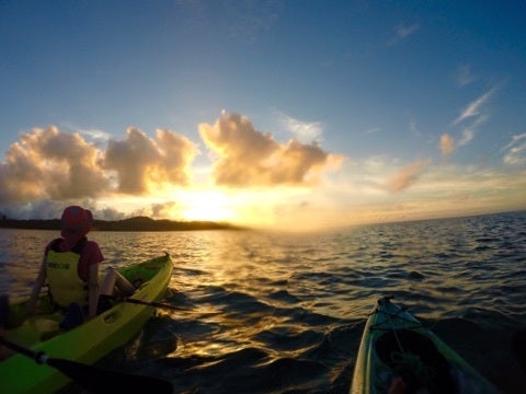 {40B75E4F-F49A-4E78-8822-8161A573D73F:01}