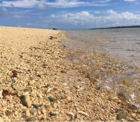 {829BDE88-D3B8-4308-8A09-2A6631CBC200:01}