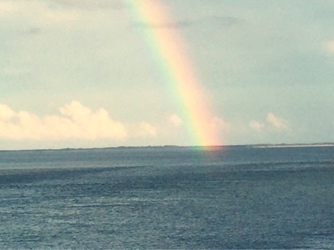 {70D3BACB-C30A-4FF5-A7E6-86A921D2950D:01}