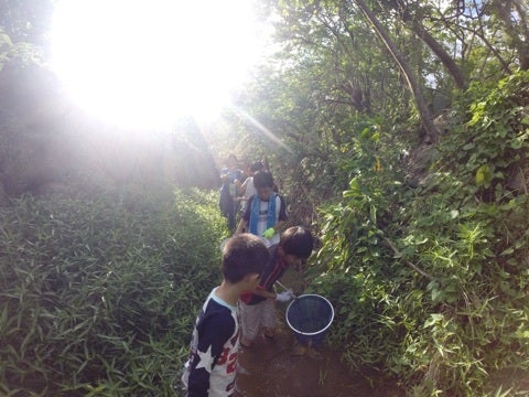 {924AA06E-8E88-4B64-B7DA-A004083F2B70:01}