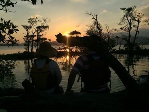 {B6DA4DA6-5B23-4536-973C-510B37EE217D:01}