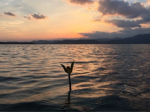 {98D181DD-2EA4-4BFA-8A91-3123D9B26709:01}