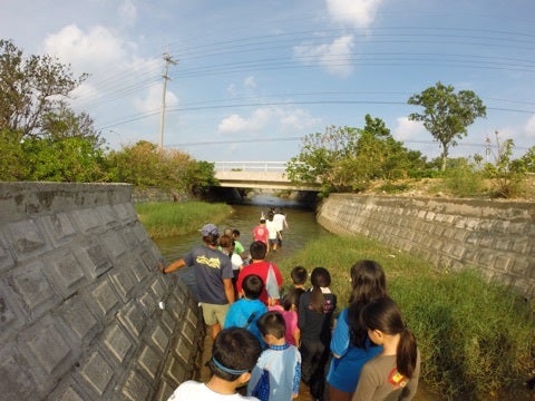 {F99D3D8B-180E-490E-9266-7F1D3255ADF6:01}