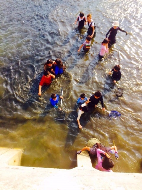 {40643EF8-ACB0-469E-8AA2-3D37910400D4:01}