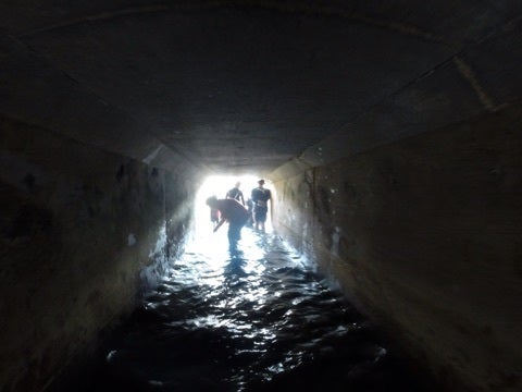 {9C5BF2E3-49B1-4164-914E-44A3DB57E370:01}