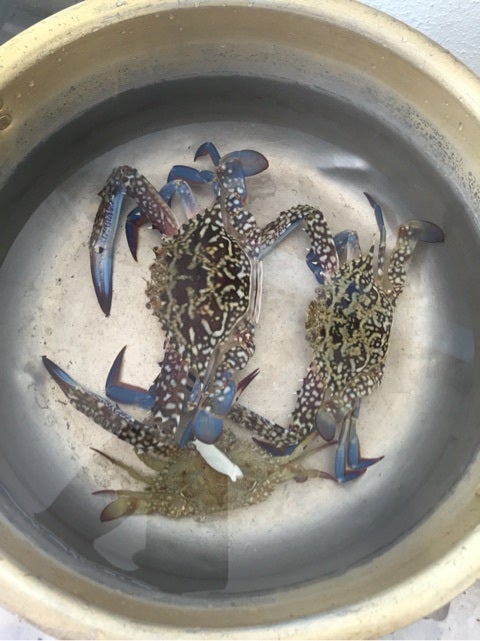 {D6C1F1EE-FAC0-433B-9A92-07ABBFF4ED25:01}