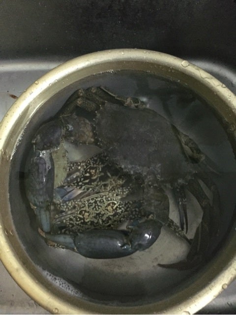 {F249E834-DA6F-477C-8042-FF56A915902B:01}