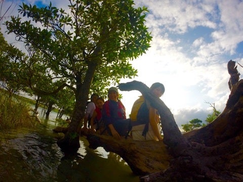 {3BF81213-F576-4877-9313-9A300DFC14FD:01}