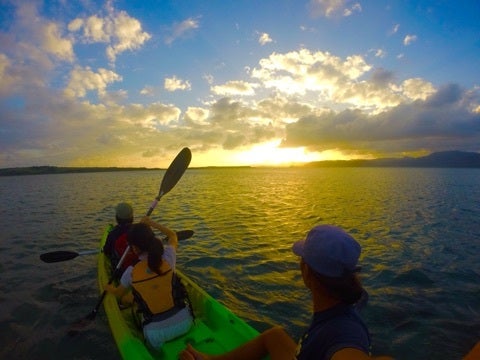 {B1D648AC-2468-40A1-A376-443FC4D7F856:01}