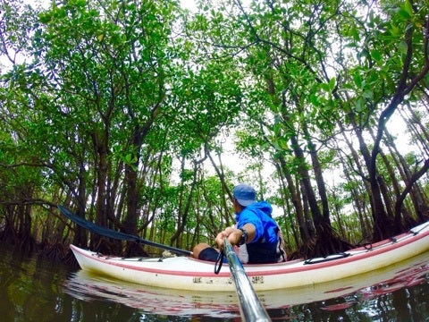 {1253F251-ACF0-4AC5-975D-B4DB82BAAAE9:01}