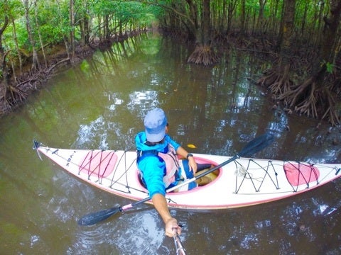 {A48E0E52-0506-4647-BC6B-697DDFD45DD5:01}