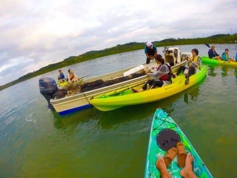 {5183E49B-1DF9-4874-AB8C-BB56ADFBE7AA:01}