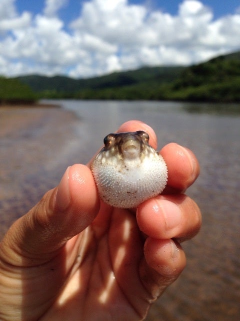 {42895579-00A5-4E66-AECE-2058E9606C86:01}