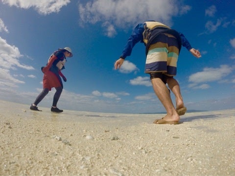 {F899D3A7-3F6D-47F1-97DF-36853FCCE9E6:01}