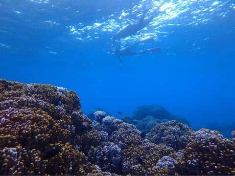 {71CED5F3-94ED-405E-B8E7-6C33C255A9BD:01}