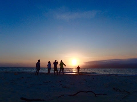 {CD7F3094-1B8F-470D-80B2-E2129E2DE758}