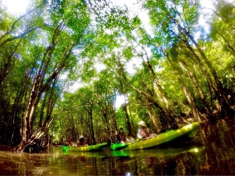 {C276636F-1944-40EA-9039-0DC547850357}