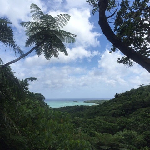 {FC7317E9-13FC-4F97-958C-0C7187AFE54D}