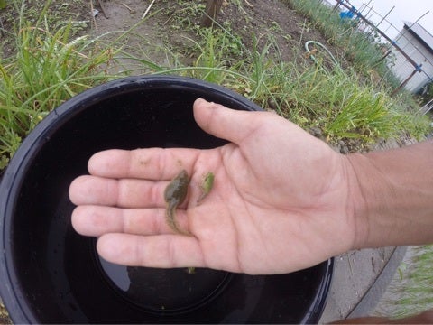 {E4EDC866-9CBB-4C50-AFF2-34ED0144ACD9}