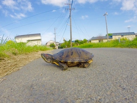 {ED0A434E-AEA8-459A-B09F-B8828F91EAD2}