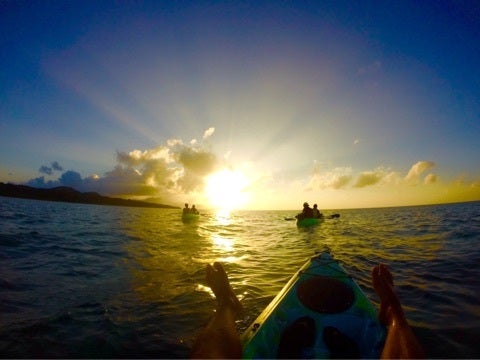 {AB16B492-9E9E-4D16-A819-3F423D24BCE5}