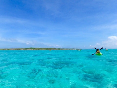 {43C62F66-A520-4AED-B18E-642C3E8F8ED8}