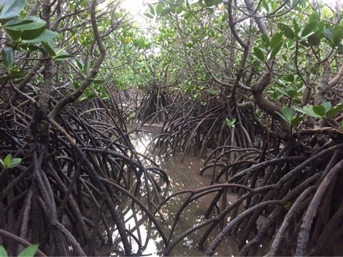 {5580666F-2AFE-40E6-8F3B-80492511789B}