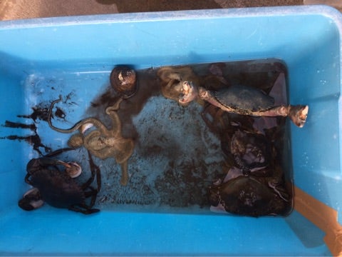 {DF56C19E-5F24-4A65-87DF-F75691E09509}