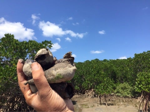 {422B3A88-15AF-4C7B-A459-BE62A189E8BF}