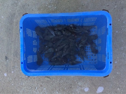 {1C09C1AE-FFBB-482D-B15A-A6A620F102EC}