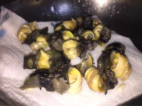 {8E089280-9EA1-4684-853B-FDD296D39654}