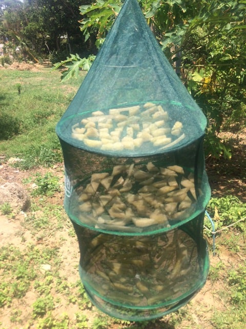 {E67CCEF4-EB83-40B9-A4A5-09C4536D0296}