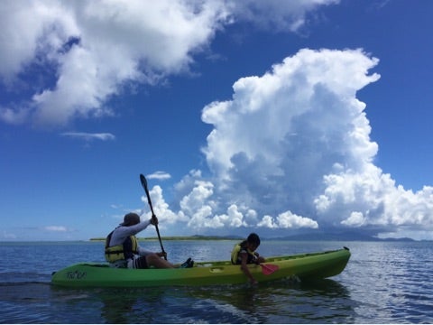 {9A59411B-DB86-4C1A-A5FD-FF661051C9E7}