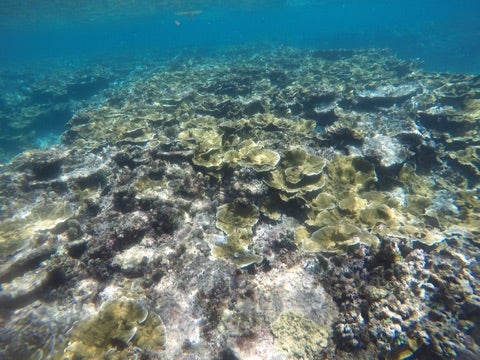 {2182EACA-E4EB-42DB-AE91-AA7B0A6625BB}