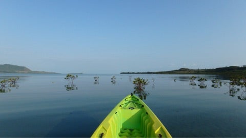 {F0288E90-8363-42DF-B63B-9BF1D6613EFB}