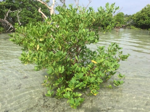 {2AB468FC-BD7C-4FCA-8D02-D1D65B680221}