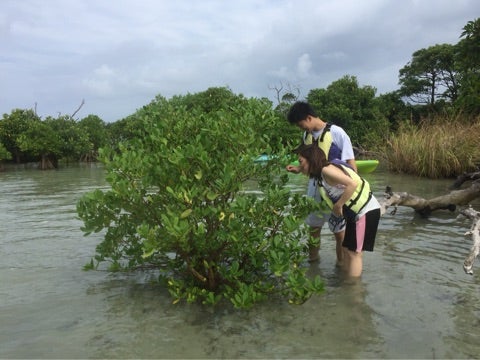 {73AD75D0-4CD3-4241-A47E-BDF515B02E3E}