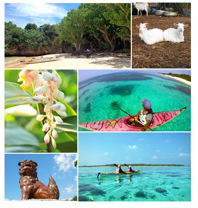 小浜島でシーカヤックとシュノーケリングツアー半日体験